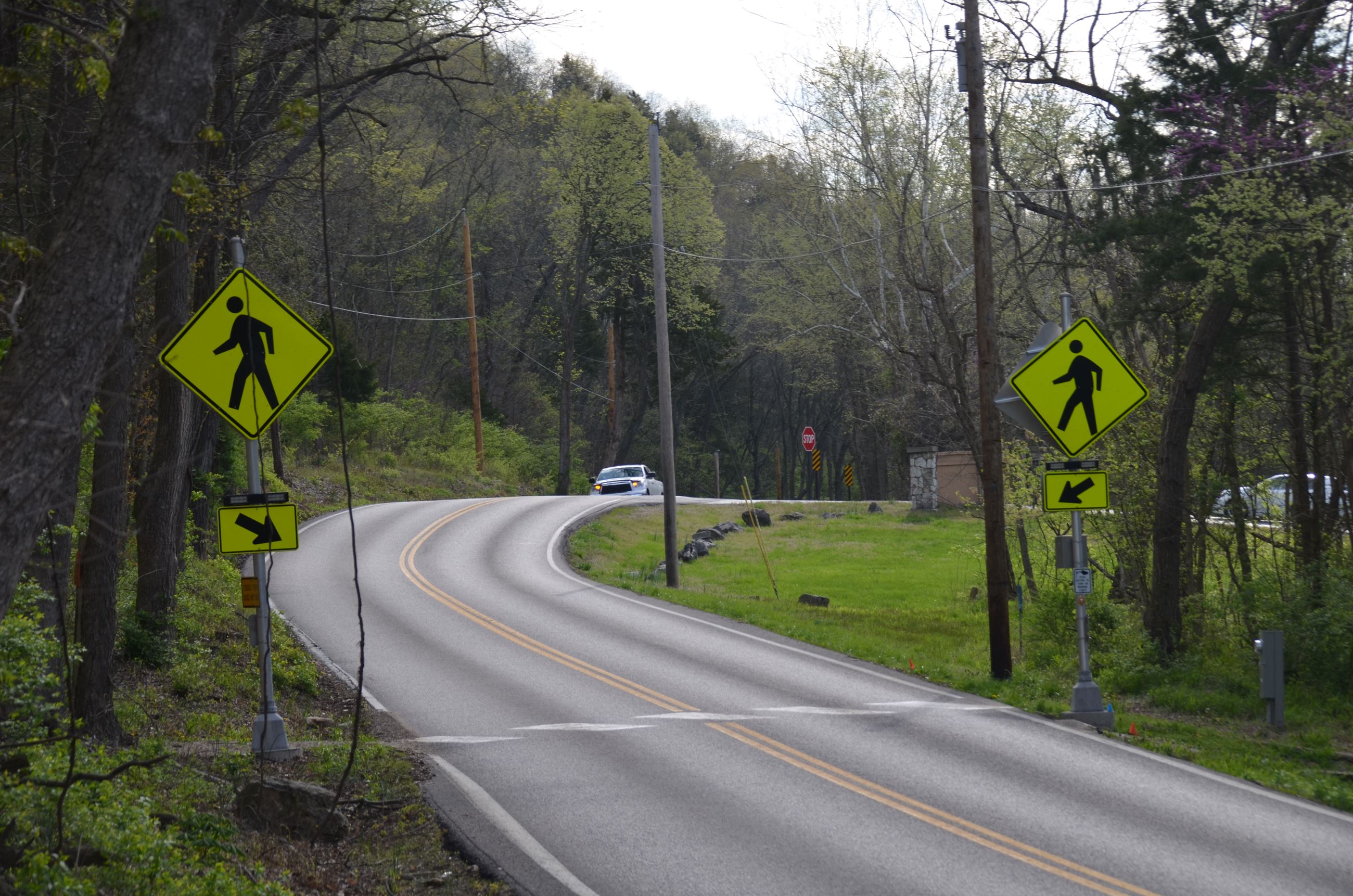 Seckman Rd at Mastadon