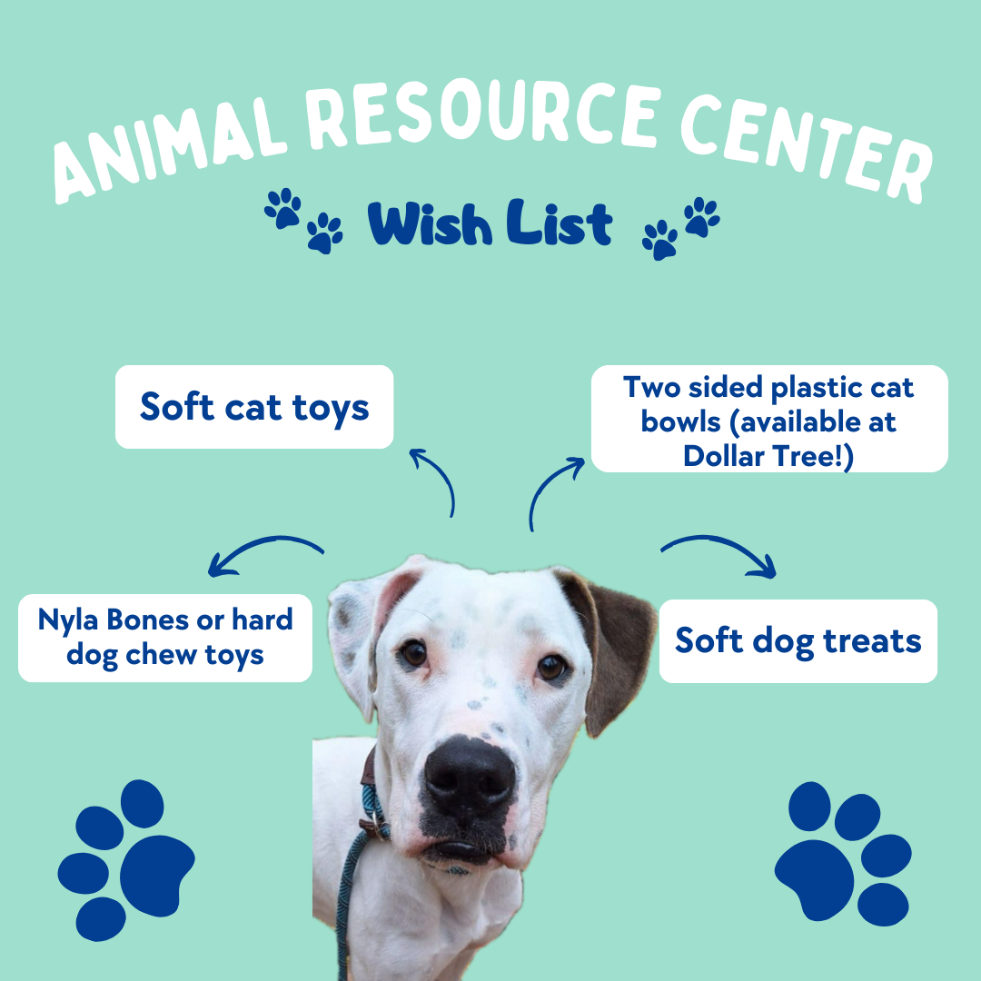 The Animal Resource Center is currently in need of some donated items