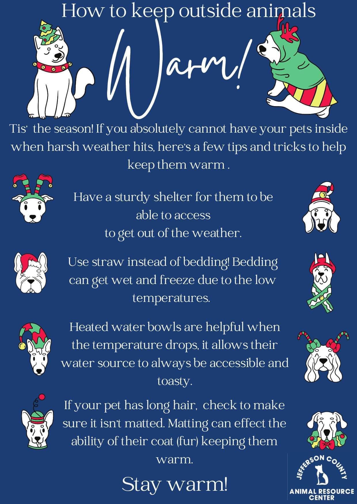 Cold Weather Pet Care